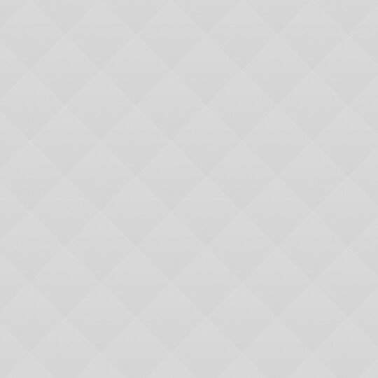 Bear with Evening Dress